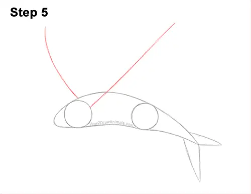 How to Draw a Flying Fish Cod Wings 5