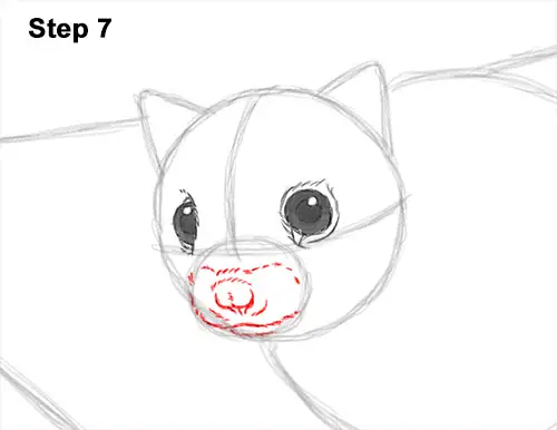 How to Draw a Southern Flying Squirrel Gliding 7