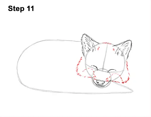 sleeping fox drawing