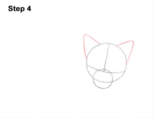 How to Draw Cute Red Fox Sleeping Asleep 4
