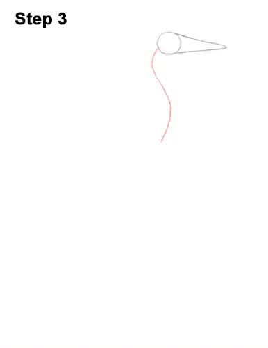 How to Draw Great Blue Heron Bird 3