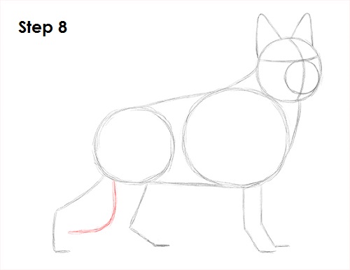 How to Draw a Dog (German Shepherd) VIDEO & Step-by-Step Pictures