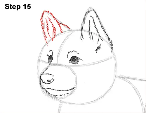 How to Draw a Cute German Shepherd Puppy Dog 15