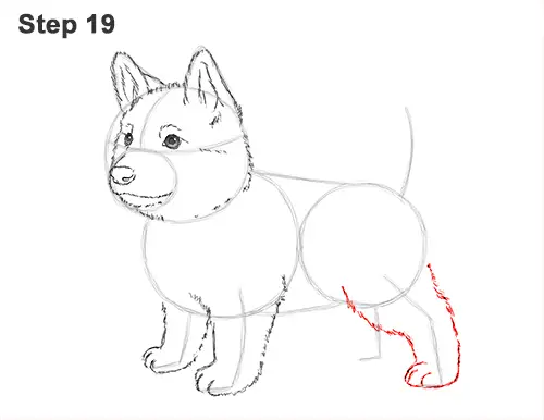 How to Draw a Cute German Shepherd Puppy Dog 19