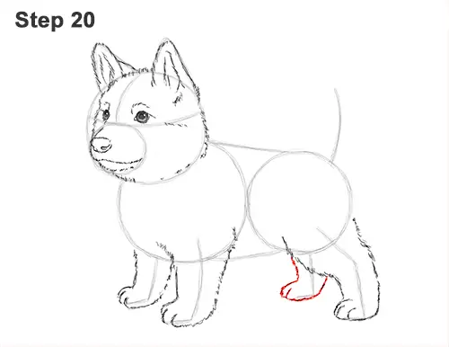 How to Draw a Cute German Shepherd Puppy Dog 20