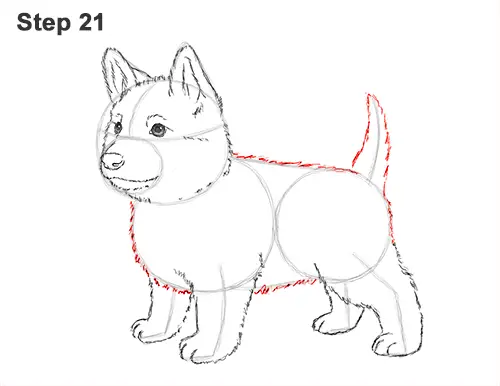 How to Draw a Cute German Shepherd Puppy Dog 21