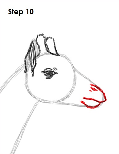 Draw Giraffe 10