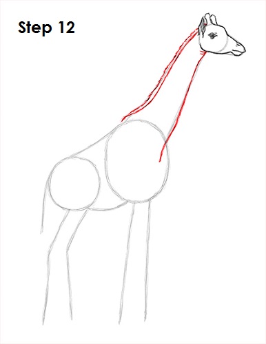 Draw Giraffe 12