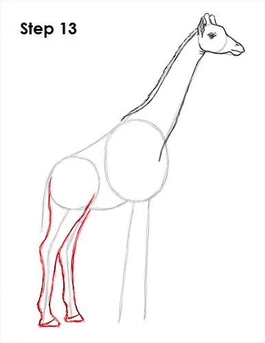 Draw Giraffe 13