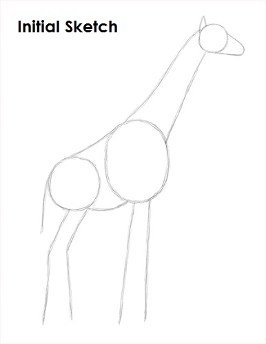 Draw Giraffe Sketch