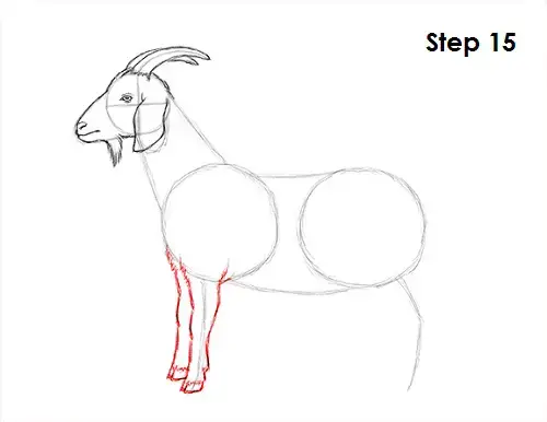 how to draw a goat step by step