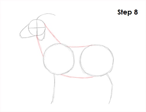 Draw Goat 8