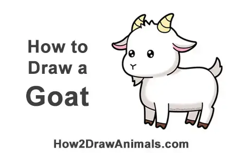 how to draw a goat step by step