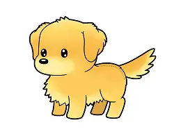How to draw a cute cartoon Golden Retriever Puppy Dog