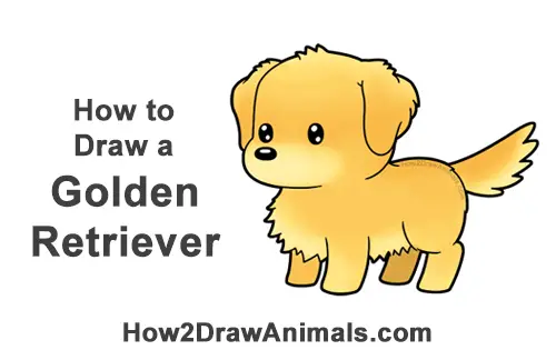How to Draw a Cute Cartoon Golden Retriever Puppy Dog Chibi Kawaii