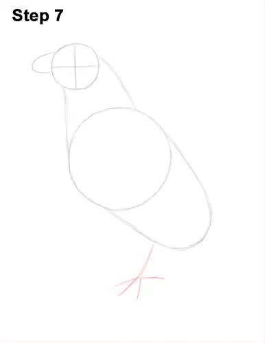 Draw Golden Eagle Bird 7