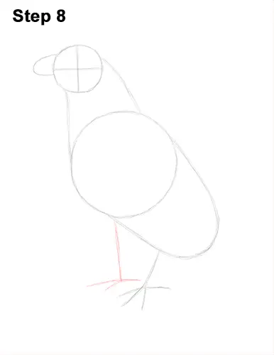 Draw Golden Eagle Bird 8