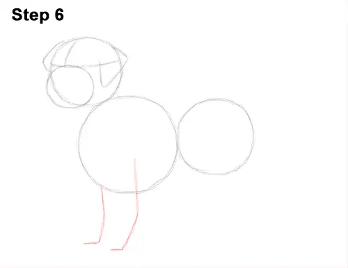 How to Draw a Golden Retriever Dog 6