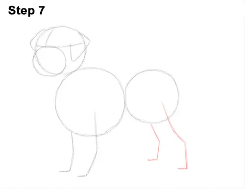 How to Draw a Golden Retriever Dog 7