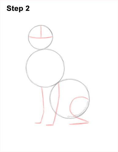 How to Draw a Golden Retriever 2