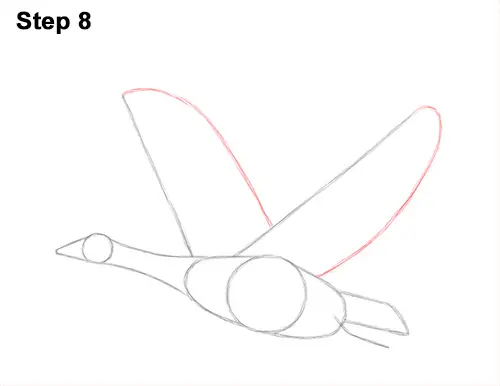 How to Draw Canadian Goose Flying Wings 8