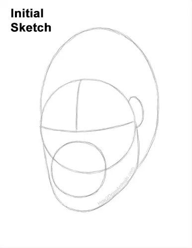 How to Draw a Gorilla Head Face Portrait Guides Lines