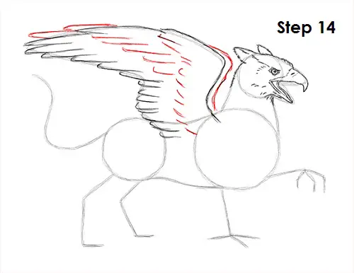 Draw Griffin 14