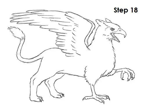 How to Draw a Griffin