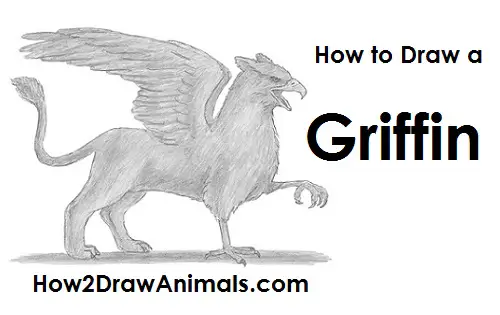 How to Draw a Griffin