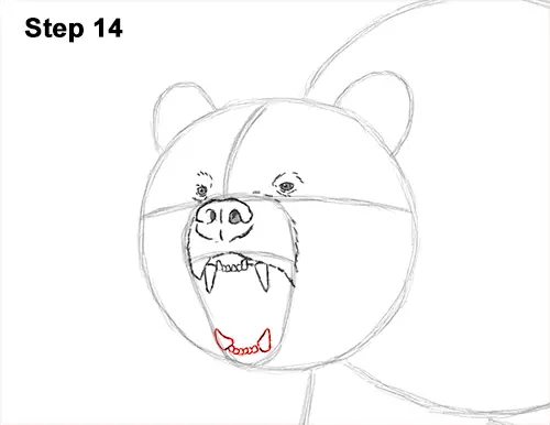 Draw a Growling Grizzly Bear Walking 14