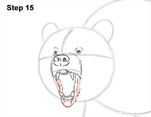 Draw a Growling Grizzly Bear Walking 15