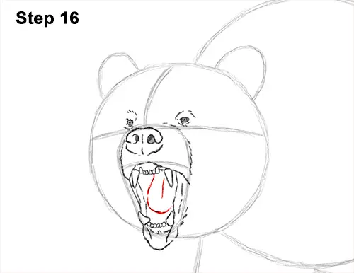 Draw a Growling Grizzly Bear Walking 16