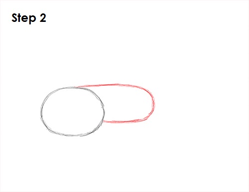 Draw Guppy Fish 2