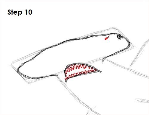Draw Hammerhead Shark 10