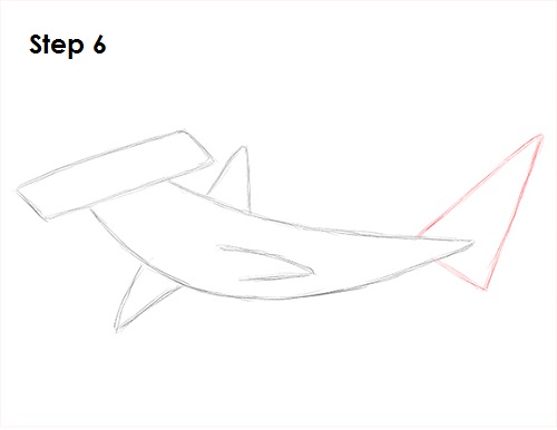 Hammerhead Shark Drawing 6 Draw Hammerhead Shark 6