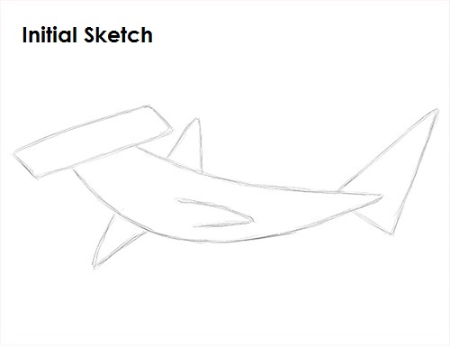 Draw Hammerhead Shark Sketch