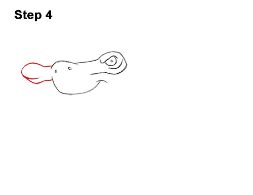 How to Draw a Cool Cartoon Hammerhead Shark 4