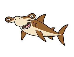 How to Draw a Cool Hammerhead Shark Cartoon