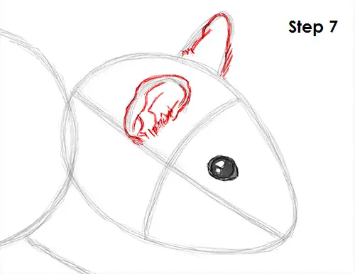 Draw Hamster 7
