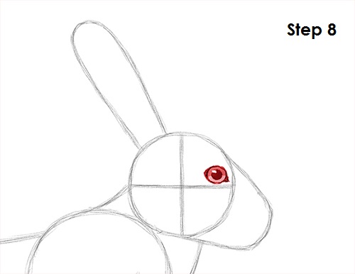 Hare Jackrabbit Drawing 8 Draw Hare Jackrabbit 8