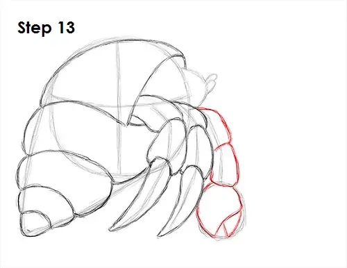 Draw Hermit Crab 13