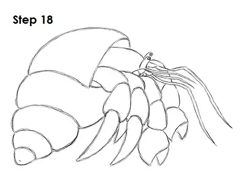 Draw Hermit Crab 18