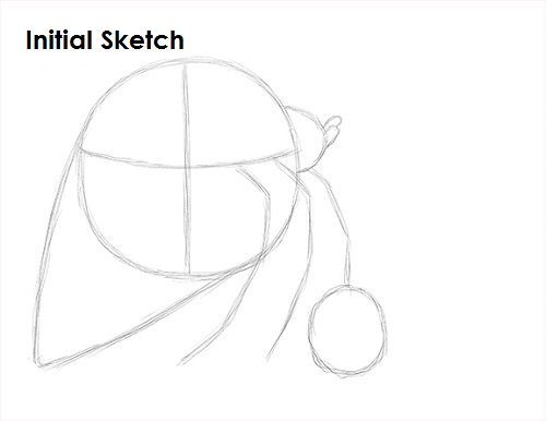 Draw Hermit Crab Sketch