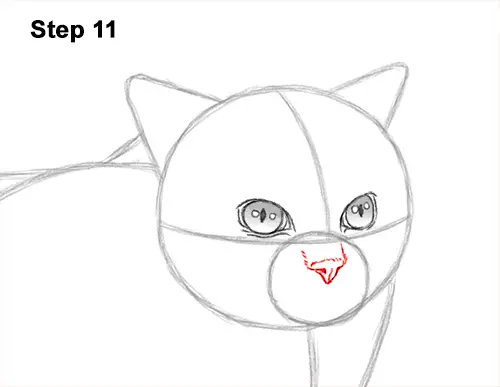 How to Draw Himalayan Cat Kitten Seal Point 11