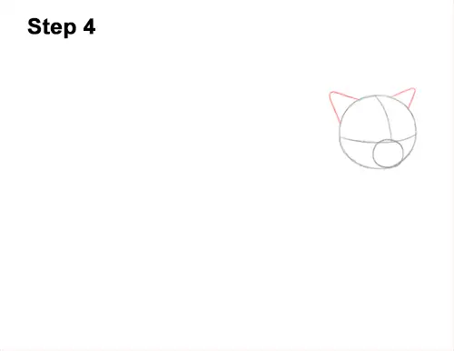 How to Draw Himalayan Cat Kitten Seal Point 4