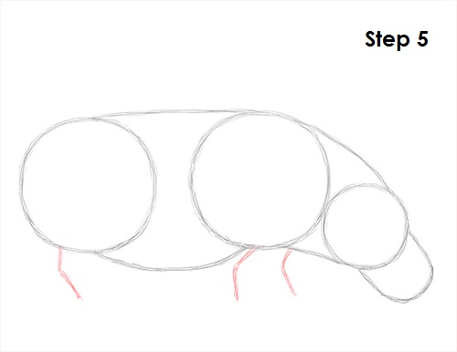 Draw Hippopotamus 5