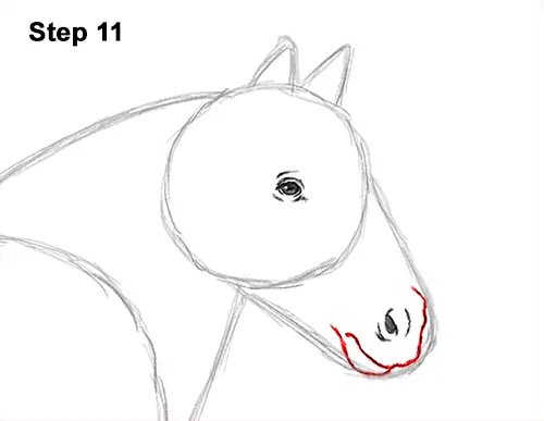 How to Draw a Horse Gypsy Vanner Irish Cob 11