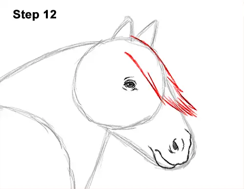 How to Draw a Horse Gypsy Vanner Irish Cob 12