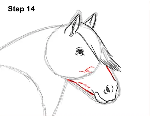How to Draw a Horse Gypsy Vanner Irish Cob 14