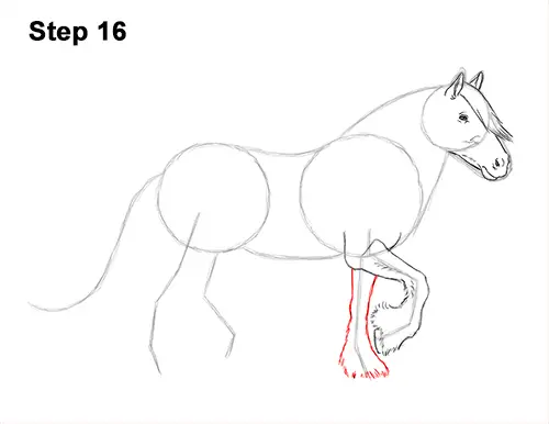 How to Draw a Horse Gypsy Vanner Irish Cob 16